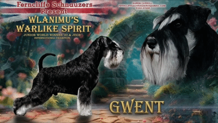 WLANIMU'S WARLIKE SPIRIT